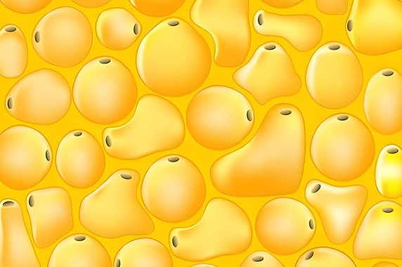 5-Amino-1MQ Studies | Shaanxi BLOOM Tech Co., Ltd 5-Amino-1MQ Studies | Shaanxi BLOOM Tech Co., Ltd