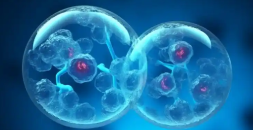 5-Amino-1MQ Enhanced Nutrient Sensing | Shaanxi BLOOM Tech Co., Ltd 5-Amino-1MQ Enhanced Nutrient Sensing | Shaanxi BLOOM Tech Co., Ltd