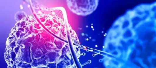5-Amino-1MQ Impact on NAD+ Metabolic Pathways | Shaanxi BLOOM Tech Co., Ltd 5-Amino-1MQ Impact on NAD+ Metabolic Pathways | Shaanxi BLOOM Tech Co., Ltd