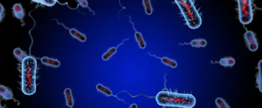 5-Amino-1MQ Enhancing Mitochondrial Function | Shaanxi BLOOM Tech Co., Ltd 5-Amino-1MQ Enhancing Mitochondrial Function | Shaanxi BLOOM Tech Co., Ltd