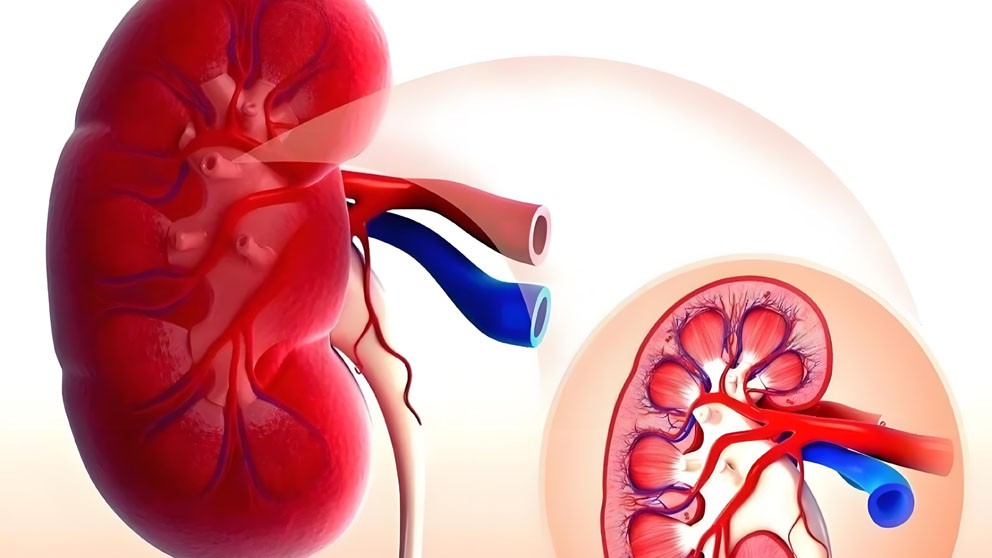 DALARGIN Drugs | Shaanxi BLOOM Tech Co., Ltd DALARGIN Drugs | Shaanxi BLOOM Tech Co., Ltd